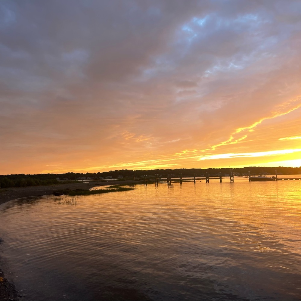 Meet your Posher, Taylor